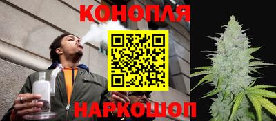прущие крисы Бердск