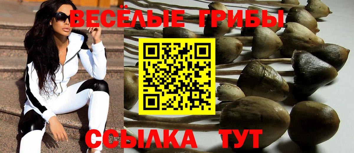 Псилоцибиновые грибы Psilocybine cubensis Мариинск